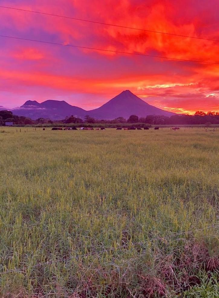 Befox Adventure Hotel La Fortuna Exterior photo