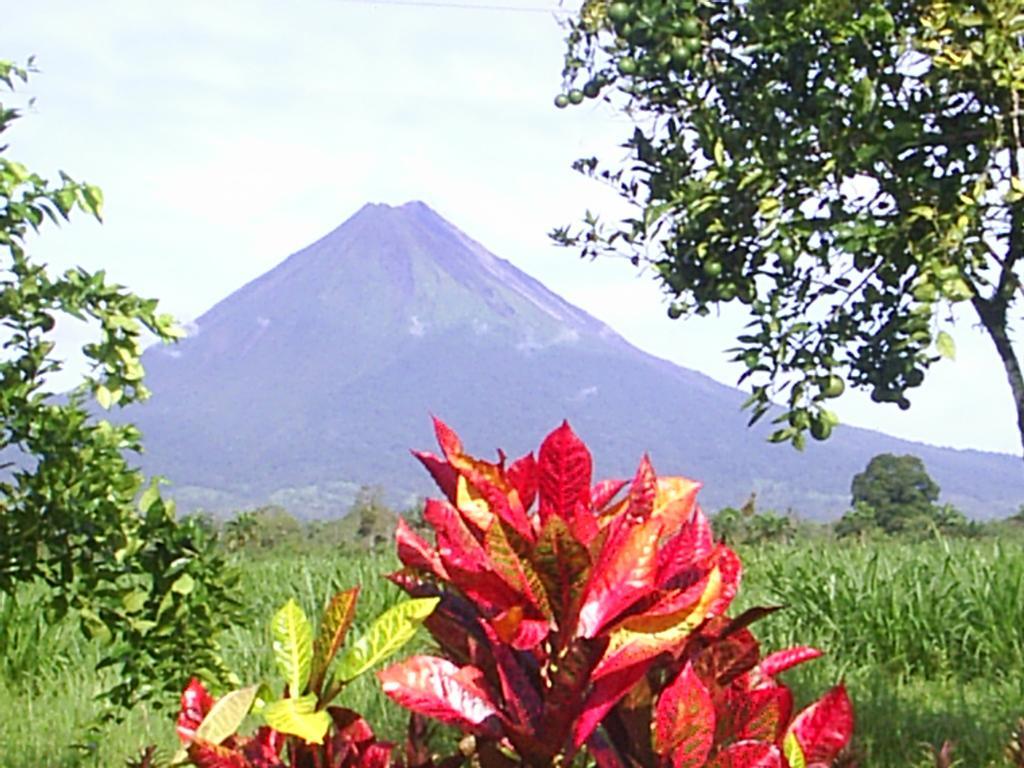 Befox Adventure Hotel La Fortuna Exterior photo
